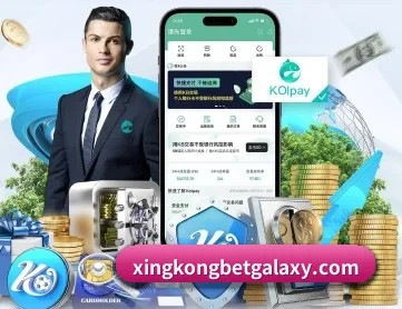 星空体育app APP