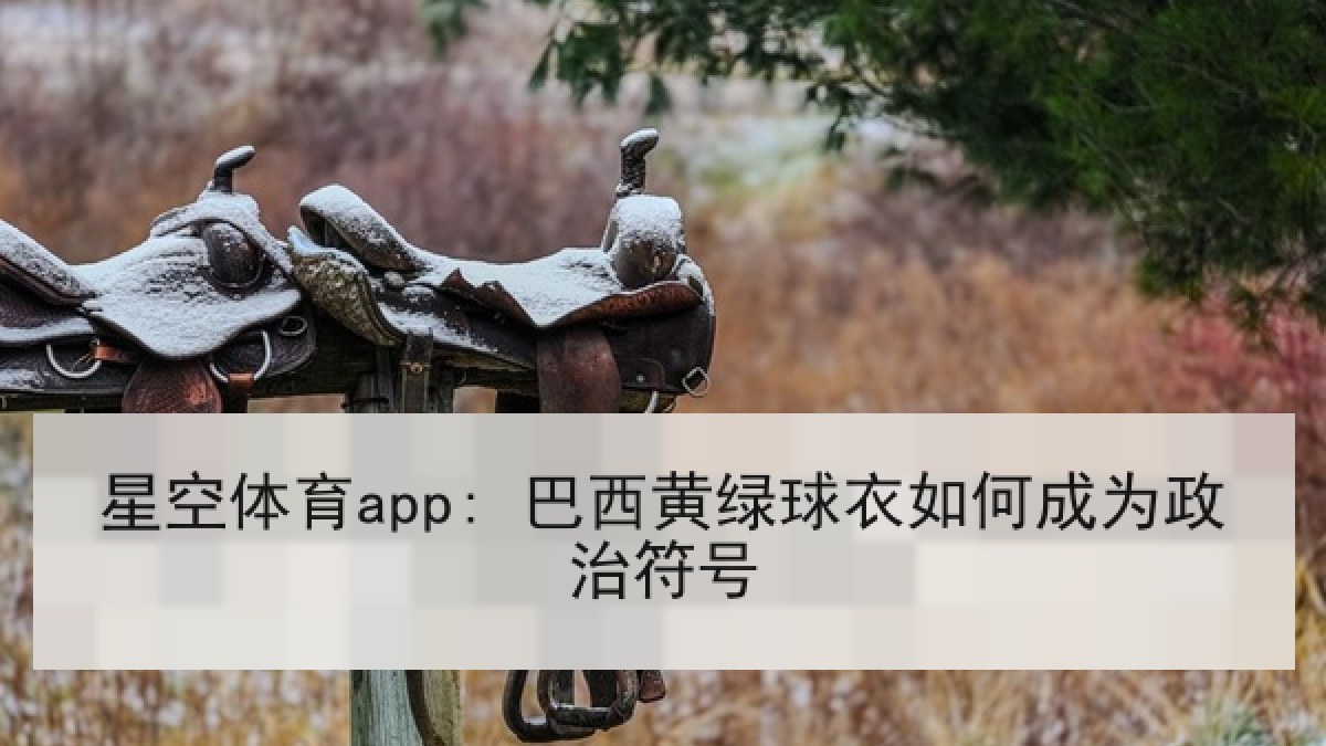 星空体育app: 巴西黄绿球衣如何成为政治符号 星空体育app: 巴西黄绿球衣如何成为政治符号