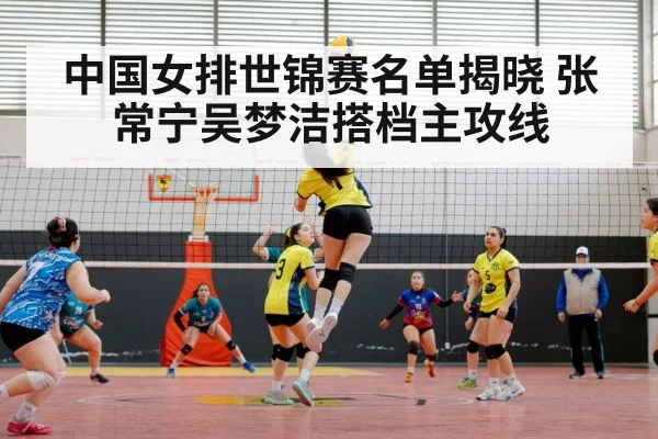 中国女排世锦赛名单揭晓 张常宁吴梦洁搭档主攻线