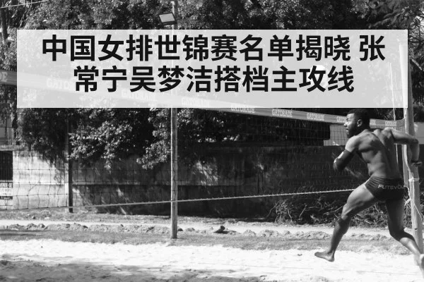 Wu Mengjie volleyball