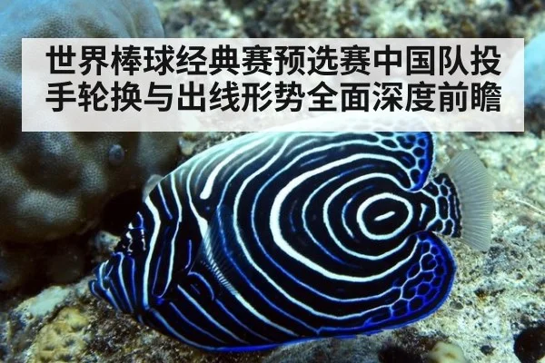世界棒球经典赛预选赛中国队投手轮换与出线形势全面深度前瞻